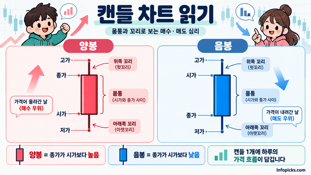 양봉과 음봉의 시가·종가·고가·저가 위치 및 몸통·윗꼬리·아래꼬리 구조를 나란히 비교한 그림